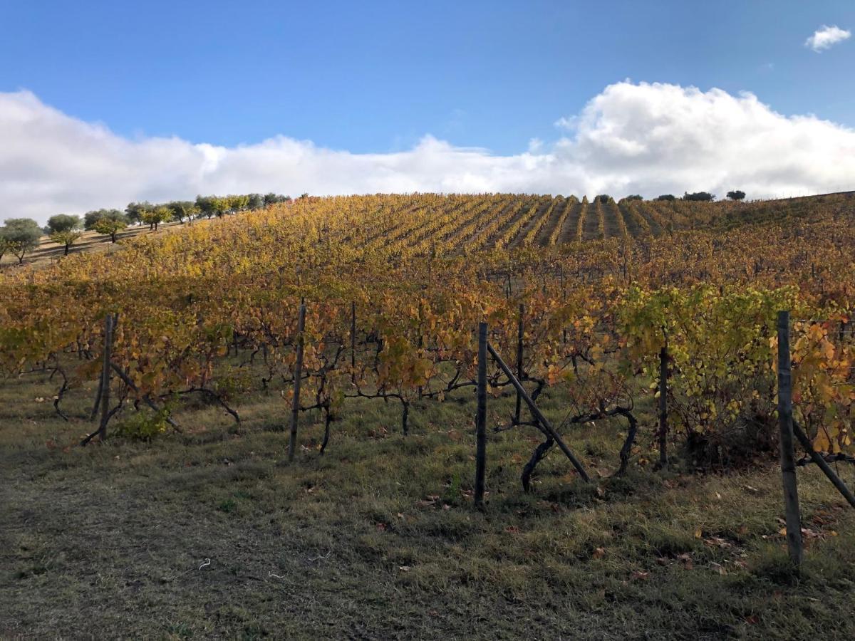 Quinta Da Pereira E Enricas Agro-Turismo Hotel Vila Flor Eksteriør billede