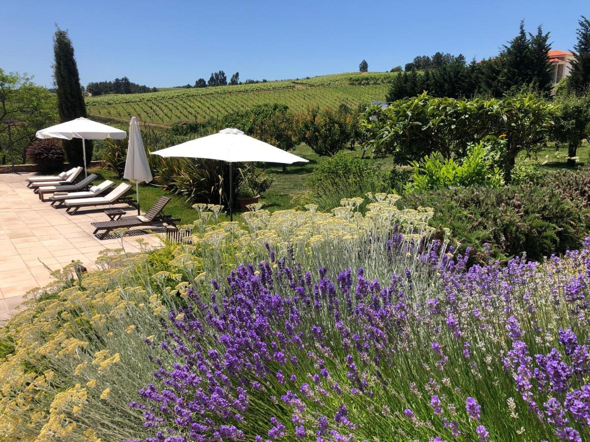 Quinta Da Pereira E Enricas Agro-Turismo Hotel Vila Flor Eksteriør billede