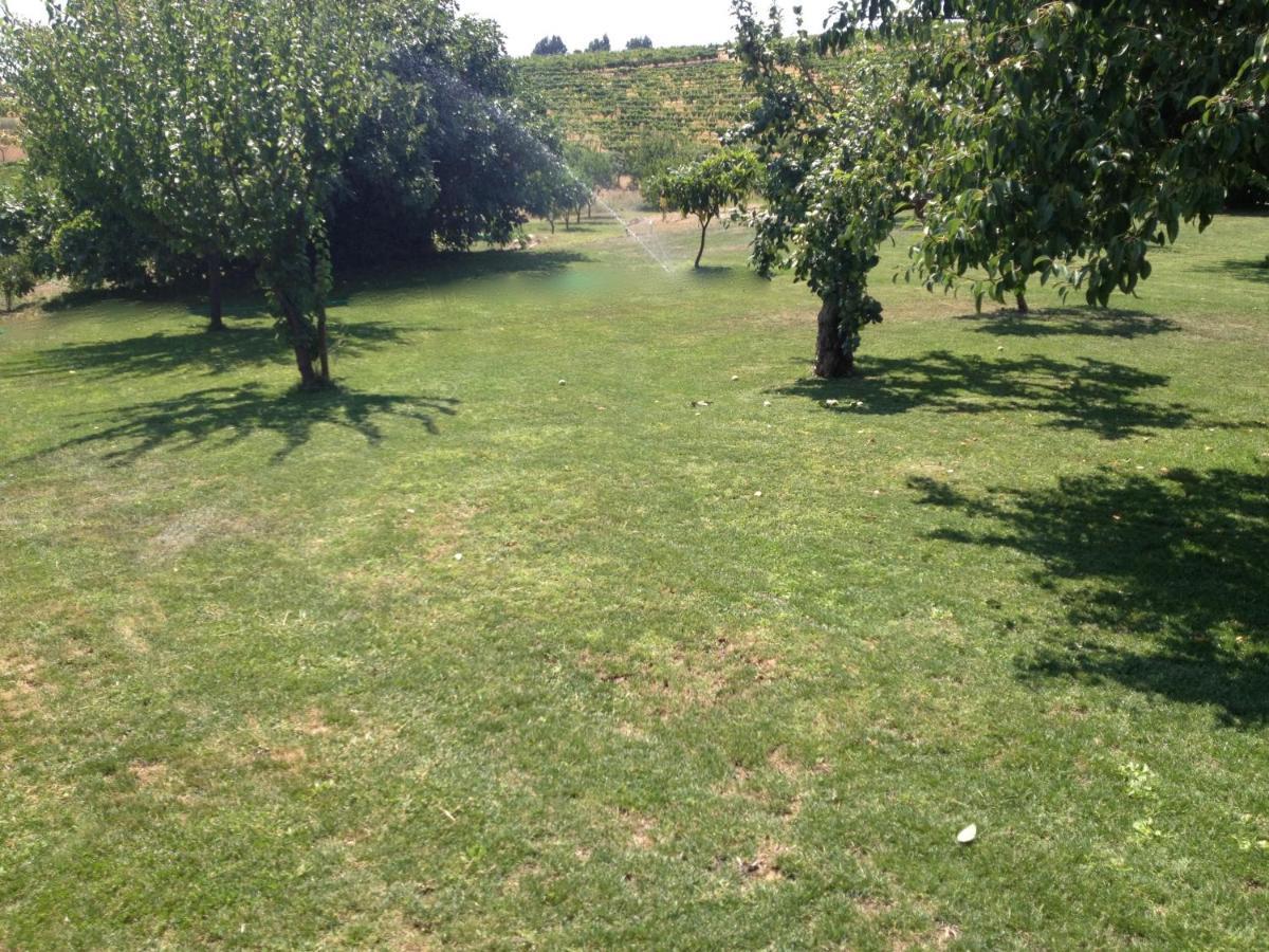 Quinta Da Pereira E Enricas Agro-Turismo Hotel Vila Flor Eksteriør billede