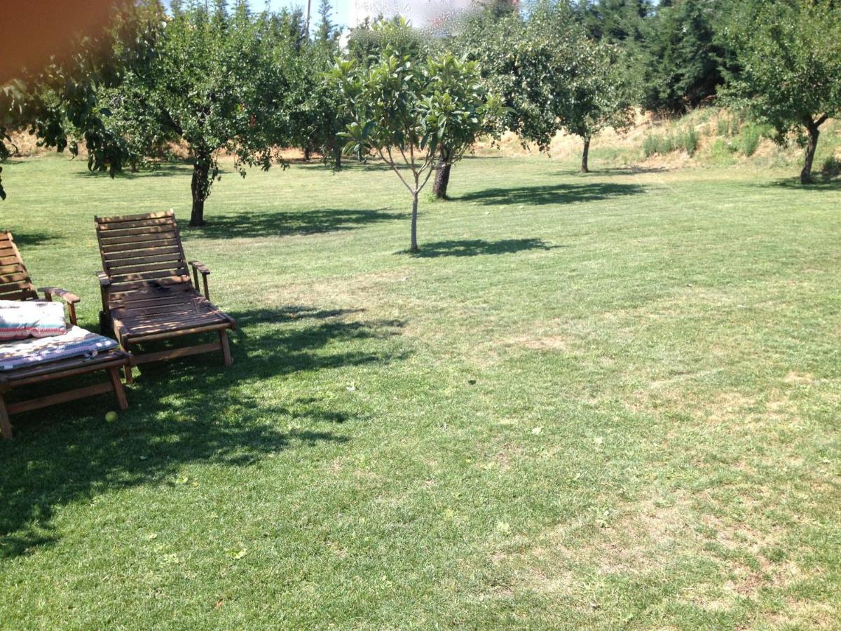 Quinta Da Pereira E Enricas Agro-Turismo Hotel Vila Flor Eksteriør billede